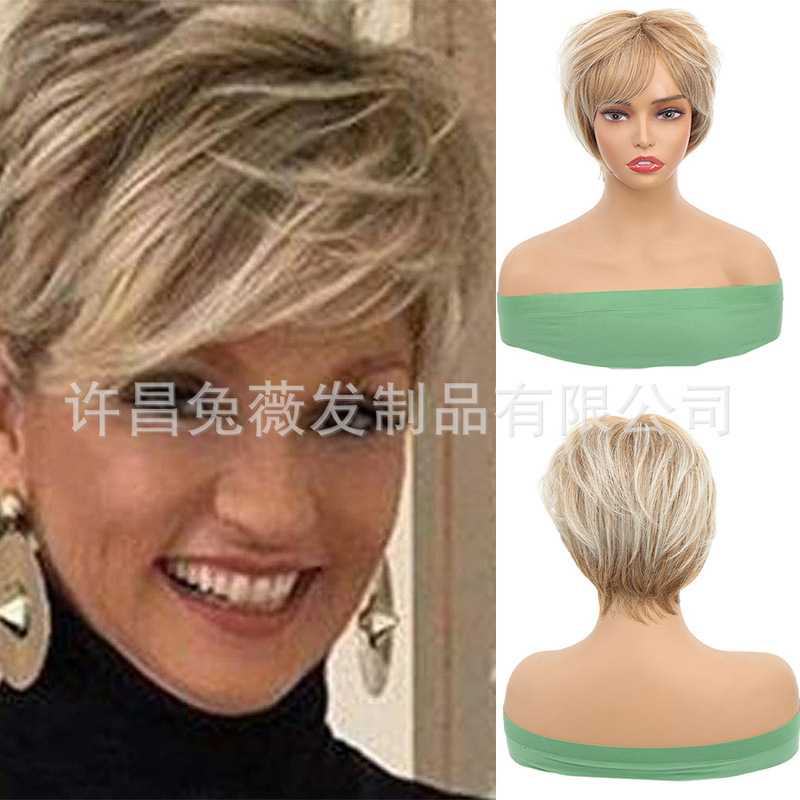 Women's Blonde Short Wig Natural Straight Layered Artificial Hair Women's Short Wig Blonde Blend Brown Wig Women's Blonde Short Wig Natural Straight Layered Artificial Hair Women's Short Wig Blonde Blend Brown Wig