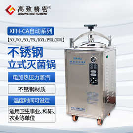 浙江新丰 XFH-100CA自动 电热式压力蒸汽灭菌器消毒锅 灭菌器