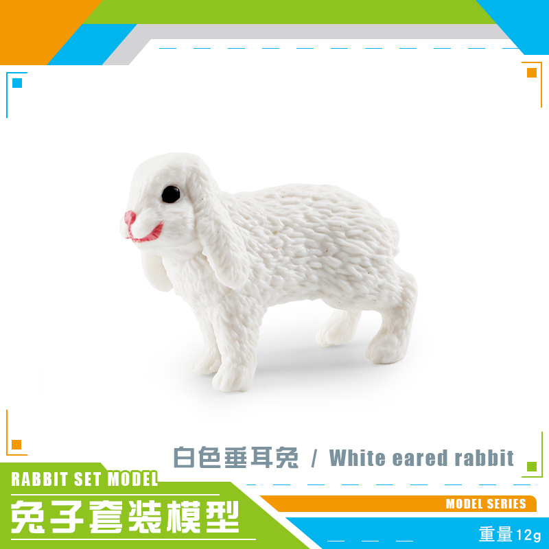 PL127-2805 Lop conejo blanco 12g