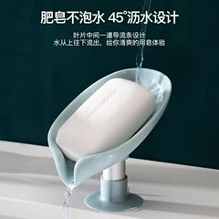 メーカーは国境を越えた浴室の壁掛け式石けん箱に水が溜まっていない新しい石けん箱家庭用葉石けん箱を提供している