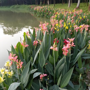 ˮ�����˽� �S���t���pɫ���˽�ˮ�w�G���������^�p��ؾG�����l