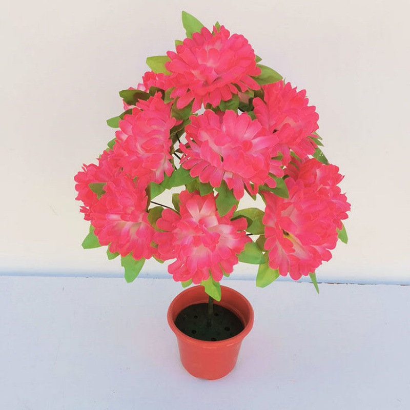 12 chrysanthemums with leaves (pink edge) 1 branch - 1 branch + flowerpot quality choice