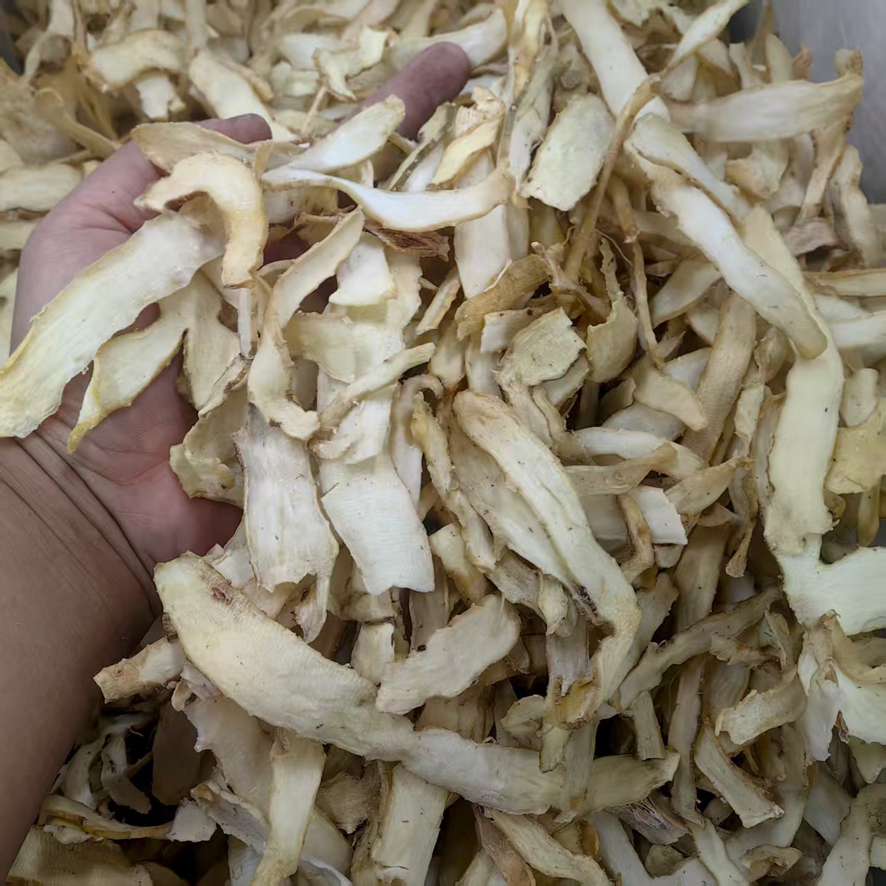 Yu Zhu Dried Polygonatum Root 500g Hunan Sulfur-Free Herbal Tea and Soup Ingredient quality and texture