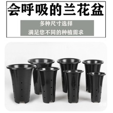 �m�������軨���؃r�����m�������������ô�̖���_�m�ƷNֲ�m����