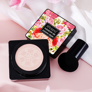 Mushroom head air cushion CCcream foundation concealer bb cream lasting makeup isolation cross-border explosives makeup wholesale