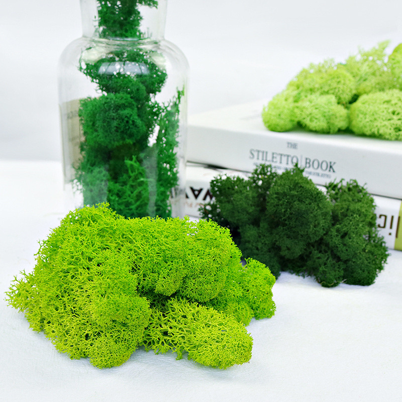 Moss, Everlasting Moss, White Moss, Green Moss, Gray Moss, Green Plant Wall, Moss Lawn, Decorative Plant, Moss Wall, Artificial Flower