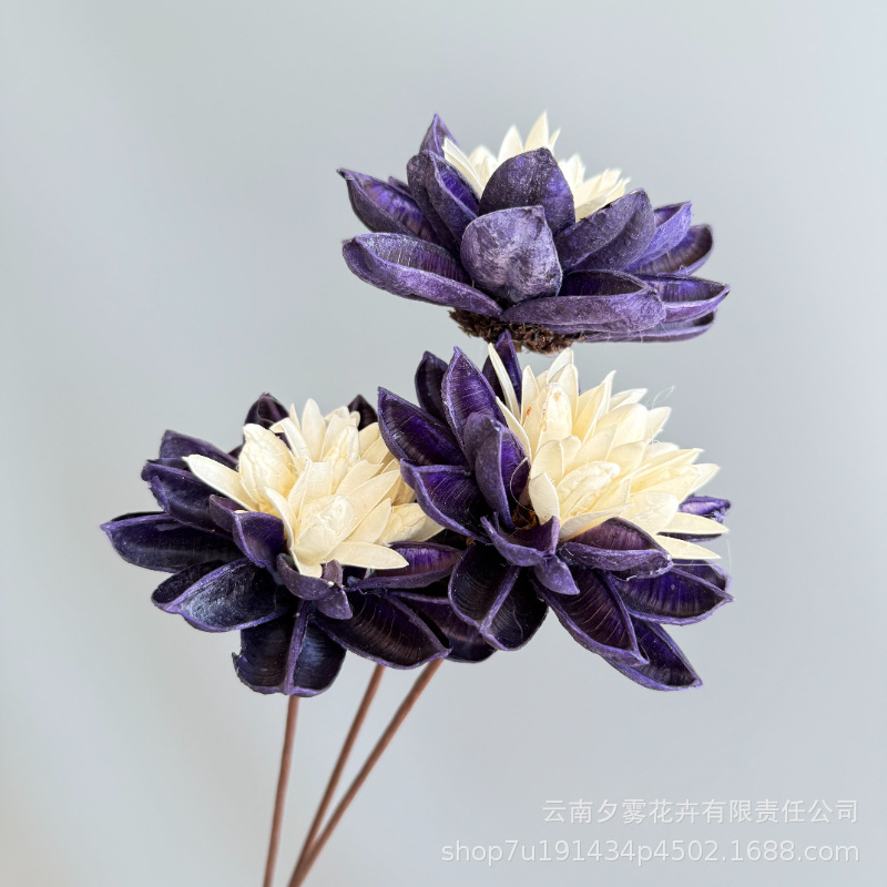 Tres flores moradas de cáñamo de espada