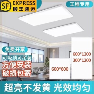 Lei Shiji Surface-Mounted Led 300X1200 Panel Light 600X600 Gypsum Board Cement Ceiling Hanging Panel Ceiling Light