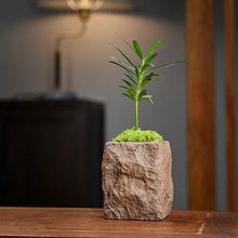 ���񺣍u�_�h��ָ��΢�����������^�~ֲ��Ĵָ�辰����GֲС����