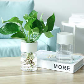 透明小盆栽水培花盆桌面室内好养盆景仿玻璃厚树脂绿萝花瓶植物盆
