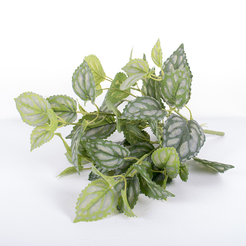 Flor de agua fría de 7 cabezas