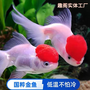 ���\���^�~�^�p�~�Q피t�{���^���~���~�����ˮ�~��ˮ���B�ͻ��~