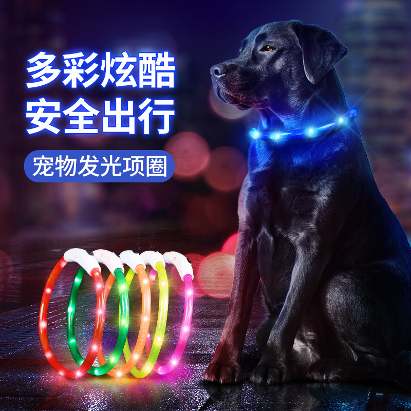 Collar Luminoso para Perros y Gatos, Collar Luminoso LED para Mascotas, Collar Recargable Brillante para Perros, Collar para el Cuello para la Noche