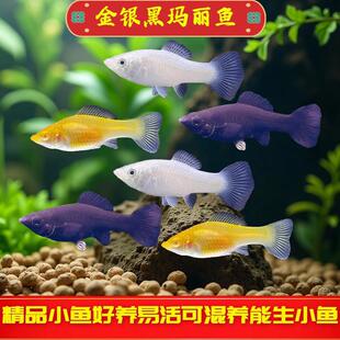 �����~̥���~����С�~�ڬ����~С�͟Ꭷ�^�p�~���B�ͻ�ɻ��B��ֳ