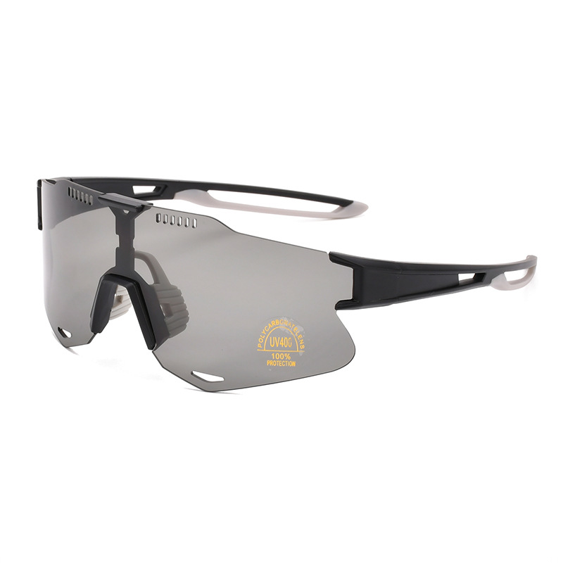 검은 프레임 회색 다리 꼬리 회색 패치