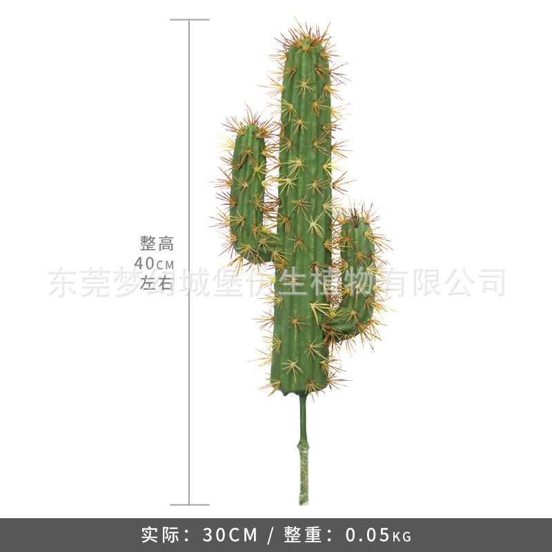 Simulación nórdica Planta verde Pilar de hadas Cactus grande piso interior sala de estar ropa tienda decoración de ventana