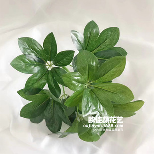 �ٻ��Gֲ�����b���ֲ�����_ľ����ľֲ�����~�������~