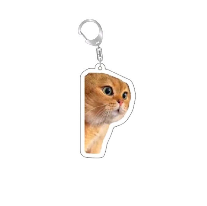 Colgar adornos Amazon popularidad en línea gatos gatos acrílicos llaveros escultura de arena interesante memes gatos gatos pequeños