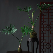 ���[���� С��ʹ̦�\��������Ϙ��҃����ˮ�������՚�͏d����