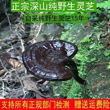 Ұ`֥Ȼ`֥`֥ݾșĸ؛߅`֥С`֥