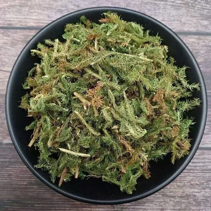 Shen Jin Cao Dried Clubmoss Whole Herb 500g Bulk Sichuan Origin Traditional TCM Ingredient key features