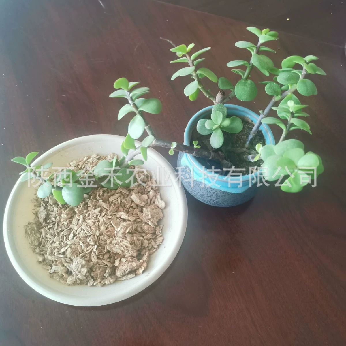 Глубокая переработка соломы в Гуаньчжун, оптовая торговля сырьем для органических удобрений из биомассы, сырьем для бактериальных палочек, специальными материалами для культивирования бактерий