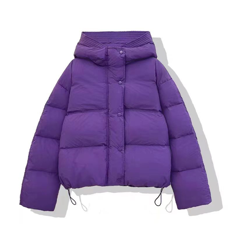 Women's Simple Style Solid Color Single Breasted Zipper Coat Cotton Clothes display picture 3