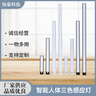Cross-Border preferred thin cabinet lamp intelligent human body three-color induction lamp brand logo wiring-free porch magnetic suction lamp