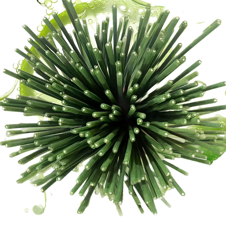 Граница-cross? В исходном: Cross-border hot product 22 cm lemongrass lemongrass bamboo stick fragrance, outdoor camping repellent, exclusively for Xiyin temu