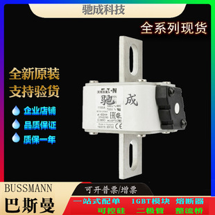 Bassman 170m6666 170m6667 170m6668 Manufacturers Original Excellent Price Supply Fast Blow Fuse
