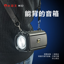 С����W22�����������������������ò忨FM�������ֻ����� ����
