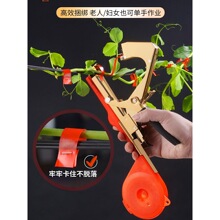 �¿����ѽ�֦�C�����t���ٽ�֦�����S�Ͻ�������z������֦�����C