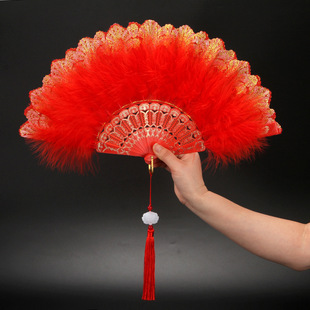 Classical Lolita Folding Fan Net Celebrity Retro Style Dance Show Photo Tour Palace Fan Fairy Girl Feather Fan
