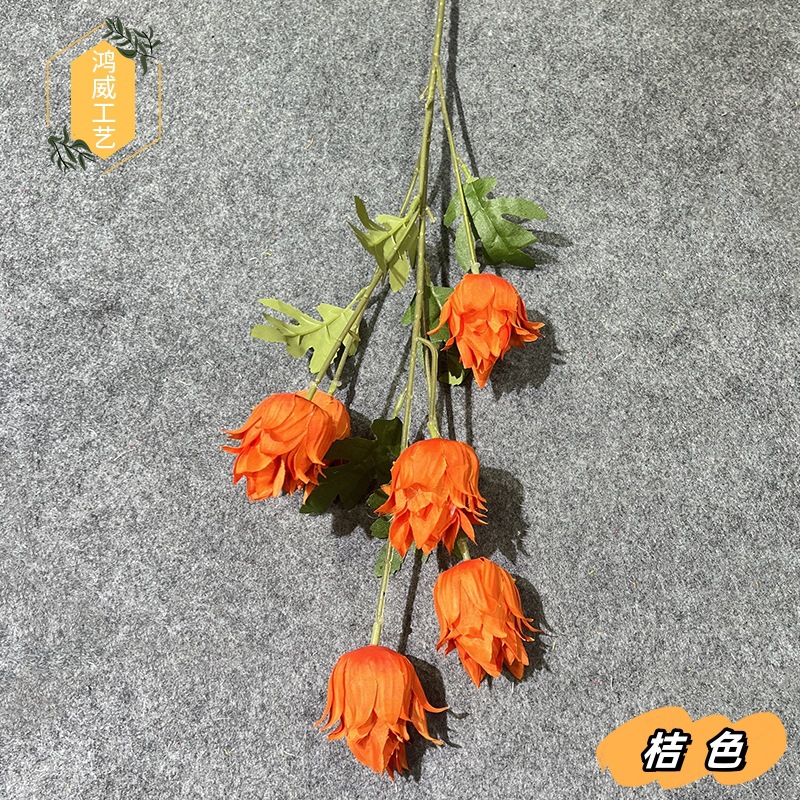 오렌지