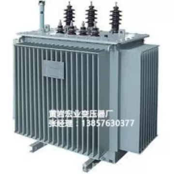 S13-M-100/10   叠铁芯油浸配电变压器  台州市黄岩宏业变压器厂