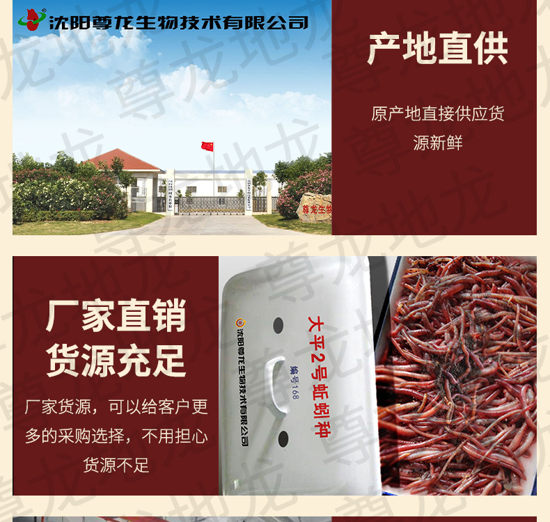 蚯蚓种蚯蚓苗 详情_12