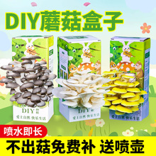 Ģ������Ģ���Nֲ���Ӿ���ʳ�þ���ͯ�Nֲ��ͥȤζ�Nֲ������ƽ��