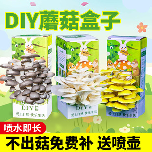 Ģ������Ģ���Nֲ���Ӿ���ʳ�þ���ͯ�Nֲ��ͥȤζ�Nֲ������ƽ��