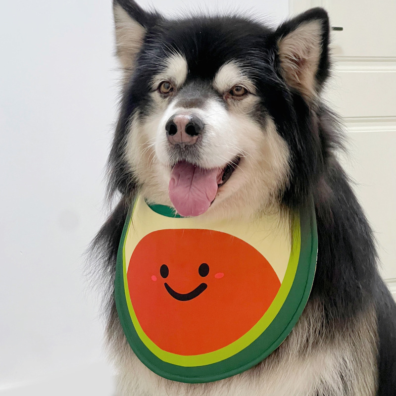 Dog Scarf 4