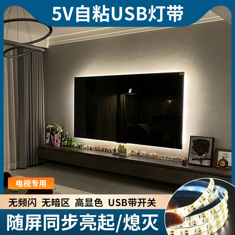 USB 인터페이스 분위기 조명 스트립 초고휘도 5V 저전압 TV 배경 벽 장식 자체 접착 LED 조명 스트립 배터리 모델