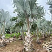 ��������˹�������l�U��1-4��