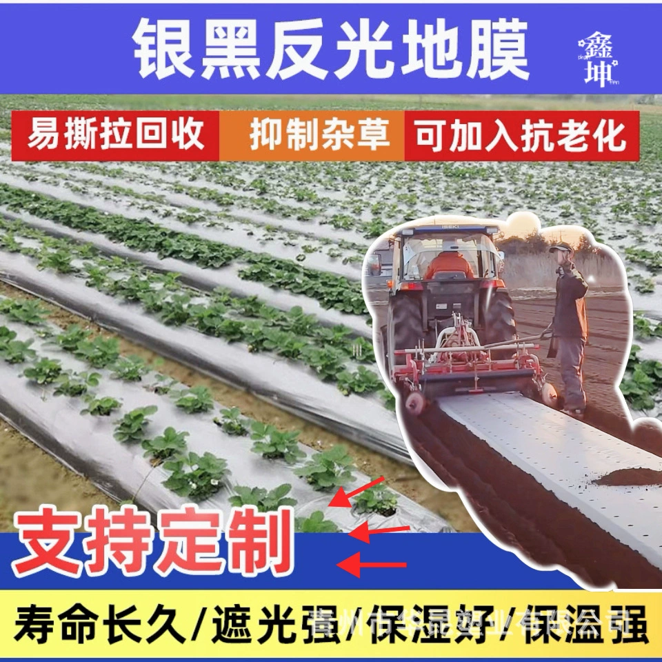 Серебряная и черная перфорированная мульчирующая пленка, пористая двухцветная мульчирующая пленка, многофункциональная пленка, сельскохозяйственная пластиковая пленка, производитель мульчирующей пленки для защиты от сорняков.