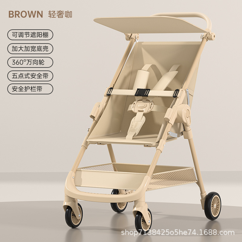 Brown basic model