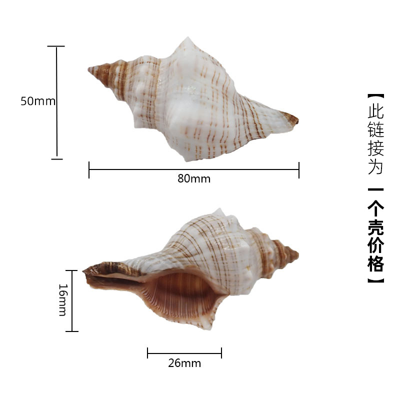 5cm 크랩에 적합한 X07 중간 레드 스핀