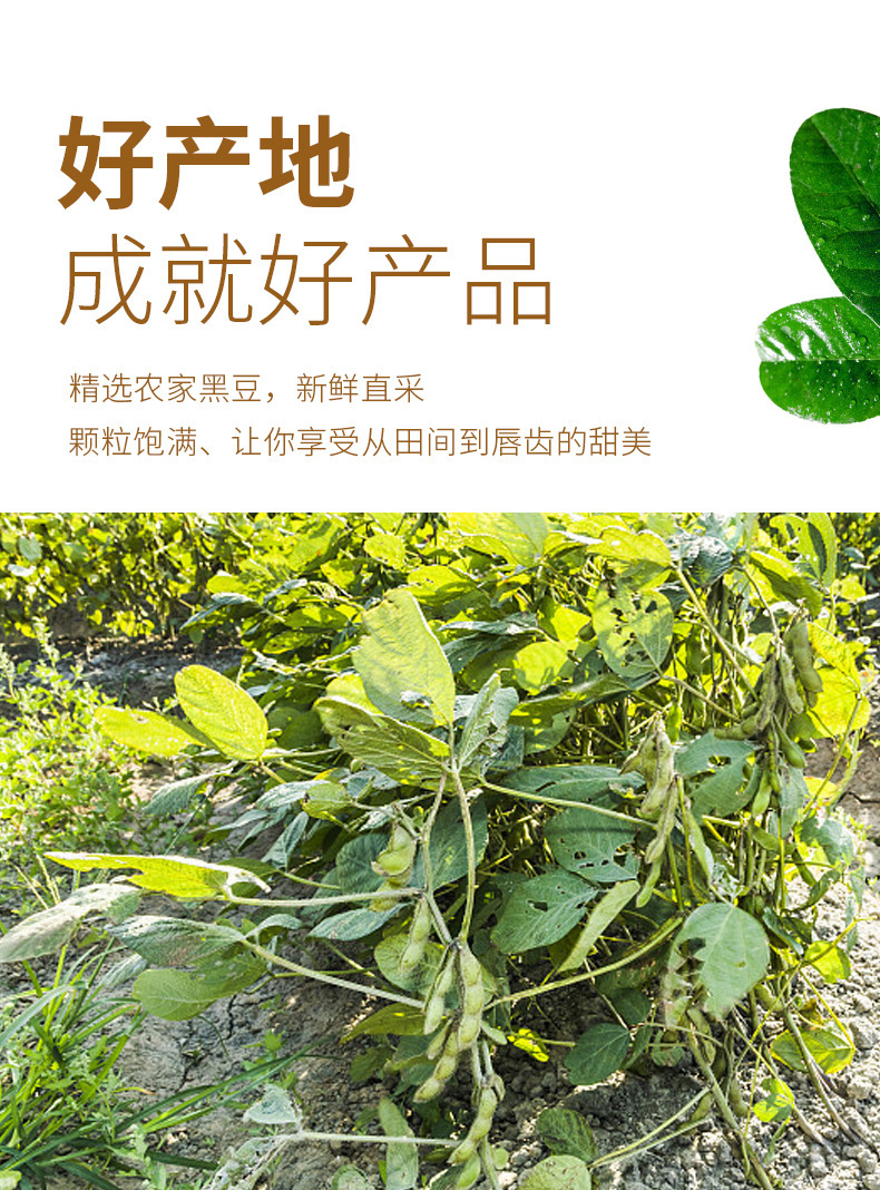 597337b9d9149f6a2a124a9760489b