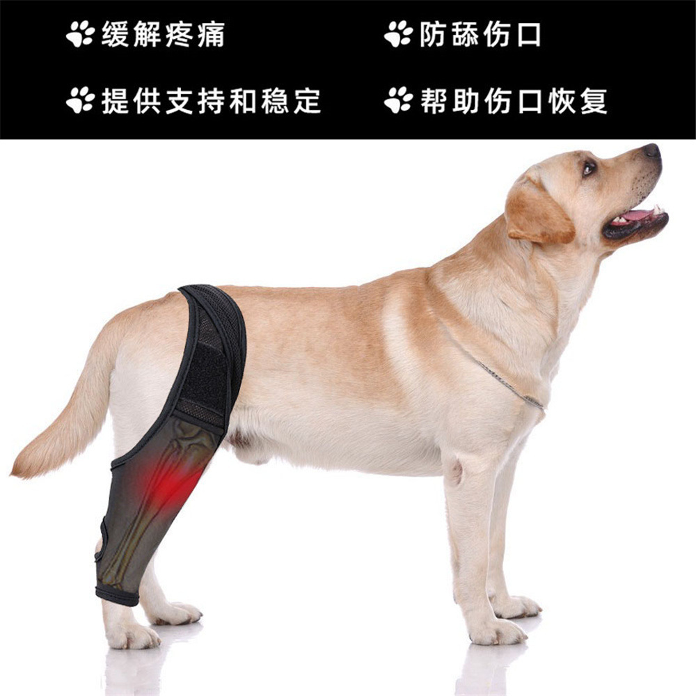 Dog Leg Fracture Protector Dog Knee Protector Dog Thigh Injury Protector Pet Front and Rear Leg Bracket Auxiliary Belt