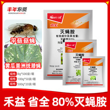 ����ʡȫ80%��ω���S�����ްߝ�ωƽ����ω�rș��ω���њ��x��