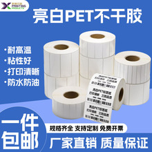PET�����z�˺������l ˺�������Зl�δa��Ӵ�ӡ���ט˺��N��