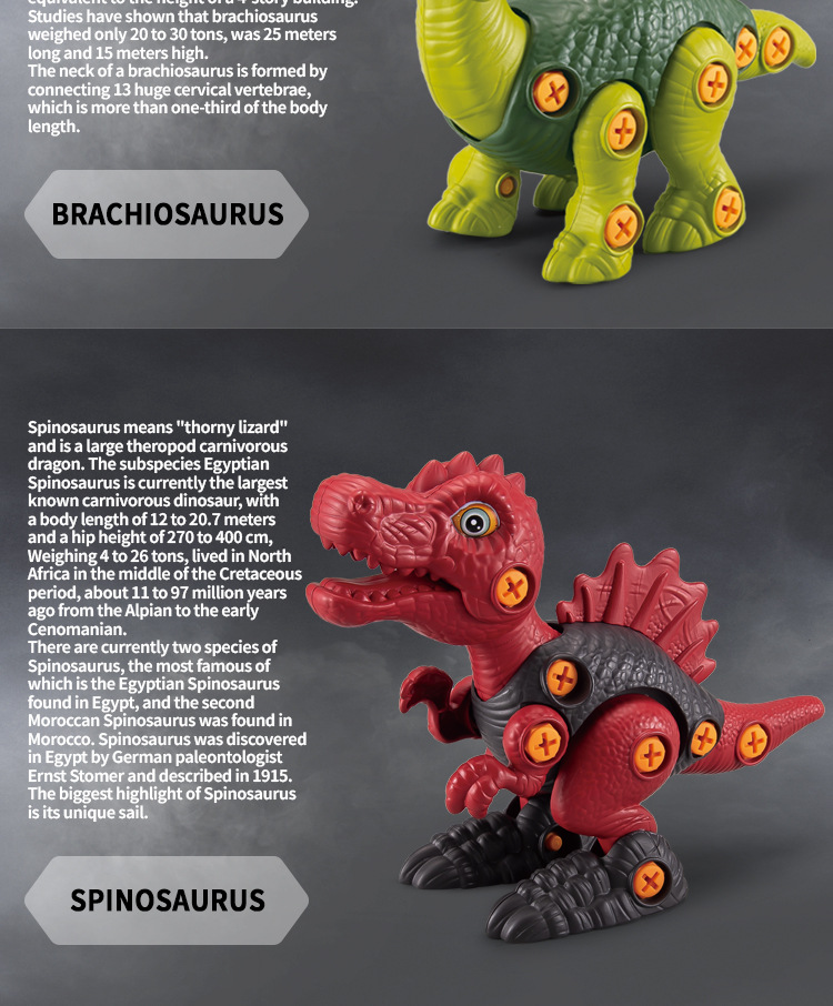 拼装恐龙英文详情图_07.jpg