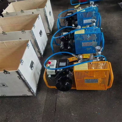 Hava kompressorları 100L Air Filling Pump